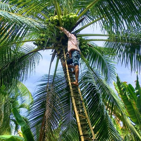 Coco Happy Farm Villa Ben Tre Екстериор снимка