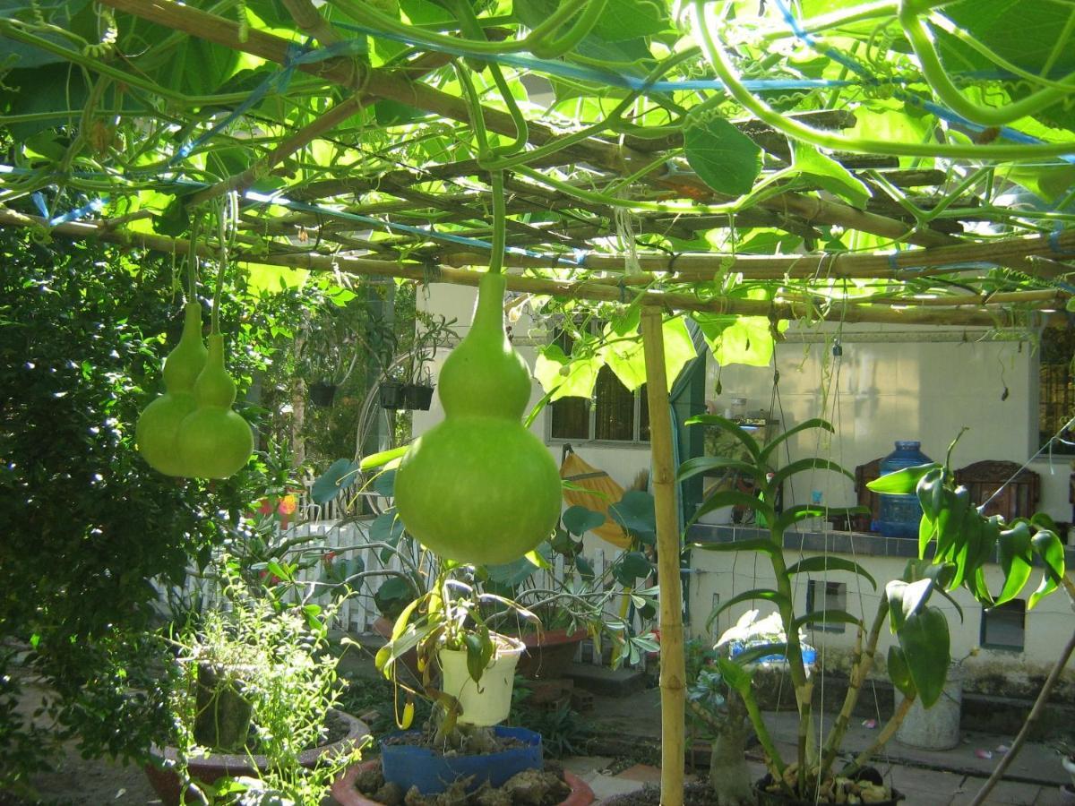 Coco Happy Farm Villa Ben Tre Екстериор снимка