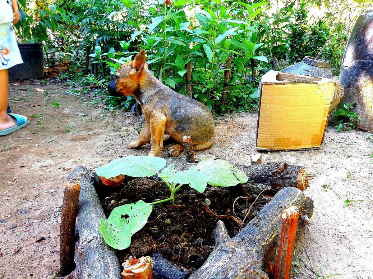 Coco Happy Farm Villa Ben Tre Екстериор снимка