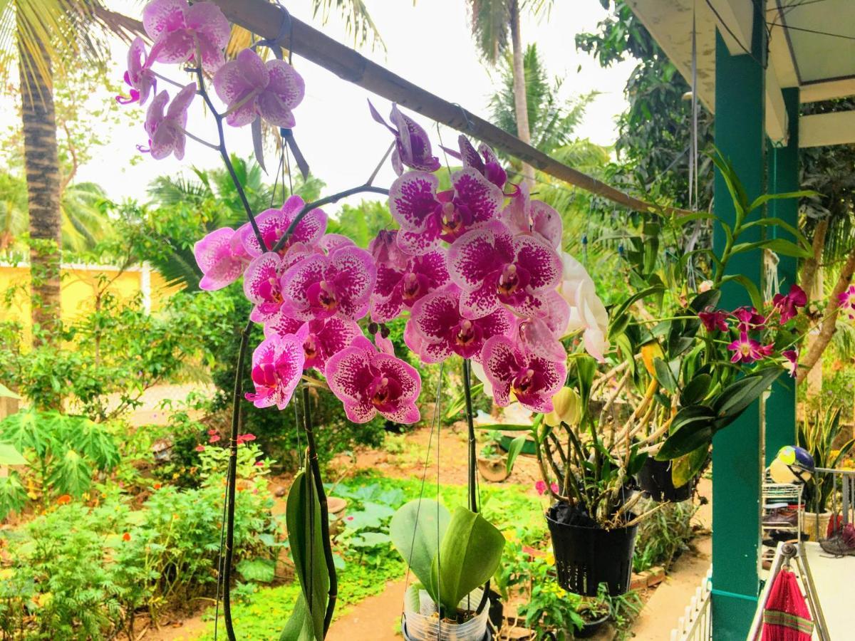Coco Happy Farm Villa Ben Tre Екстериор снимка
