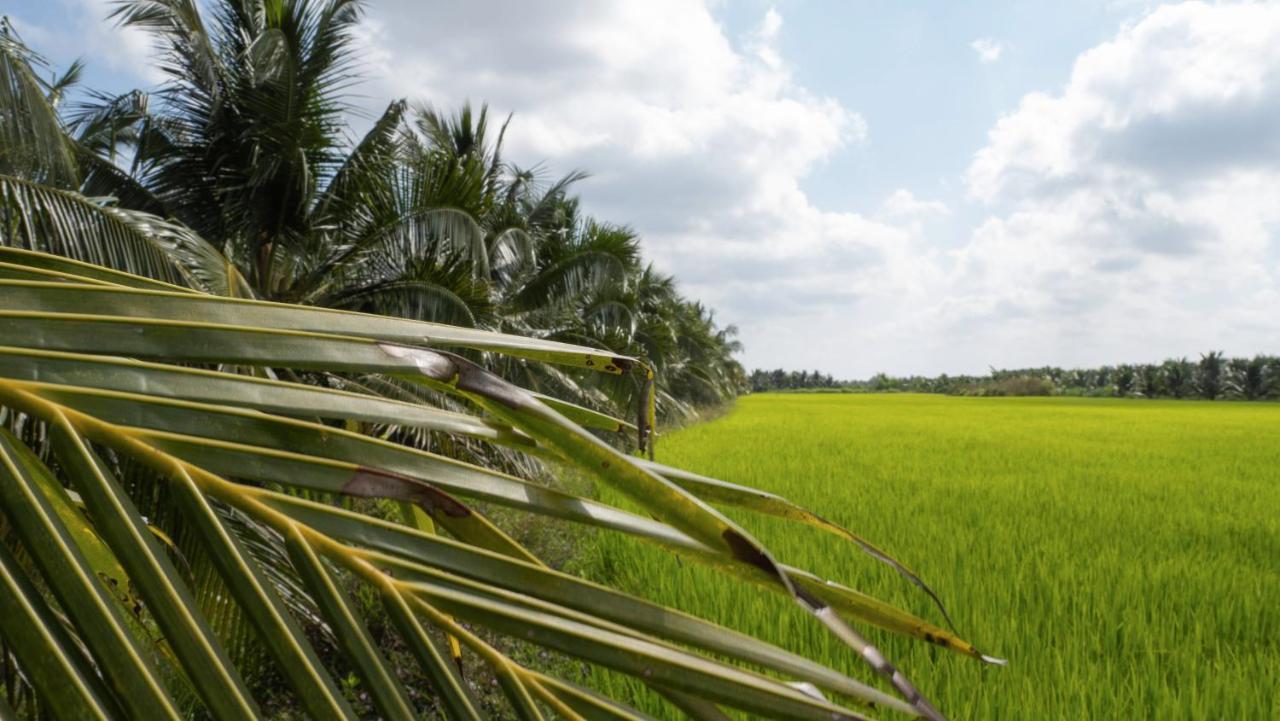 Coco Happy Farm Villa Ben Tre Екстериор снимка