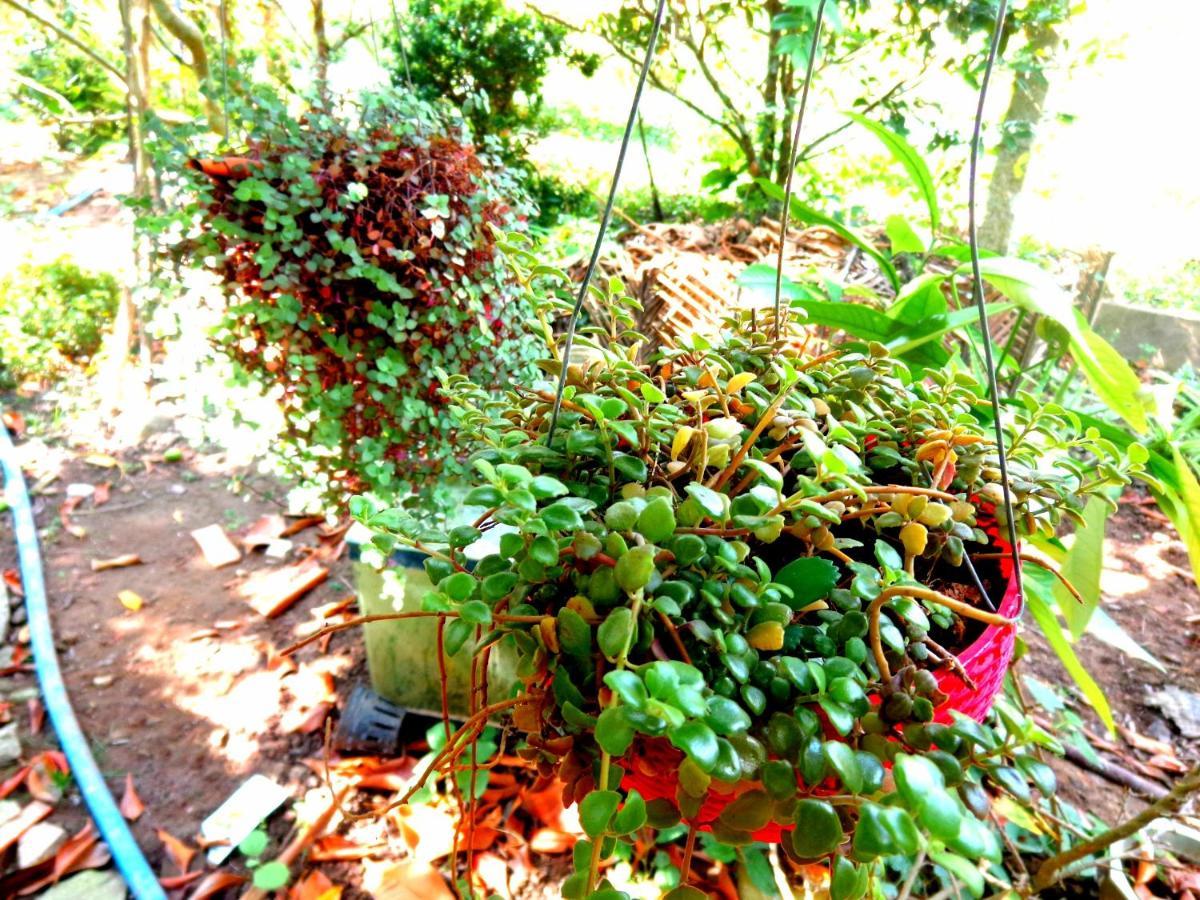 Coco Happy Farm Villa Ben Tre Екстериор снимка