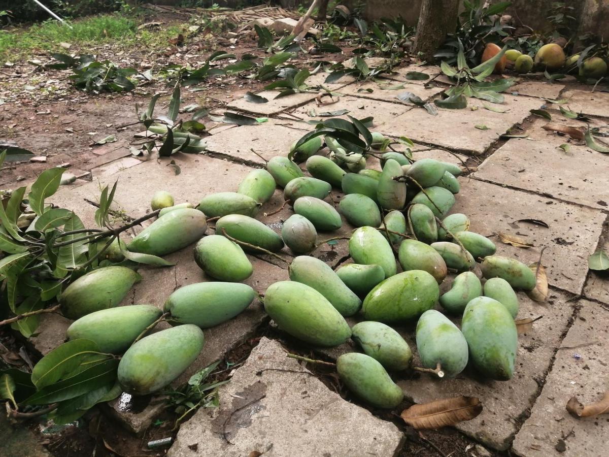 Coco Happy Farm Villa Ben Tre Екстериор снимка